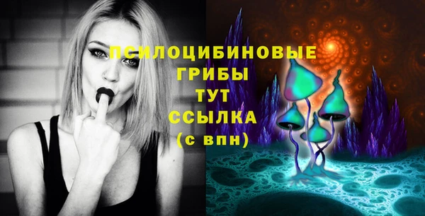бошки Алзамай